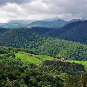 Սեվան-Դիլիջան-Հաղարծին-Գոշավանք-Պարզ Լիճ